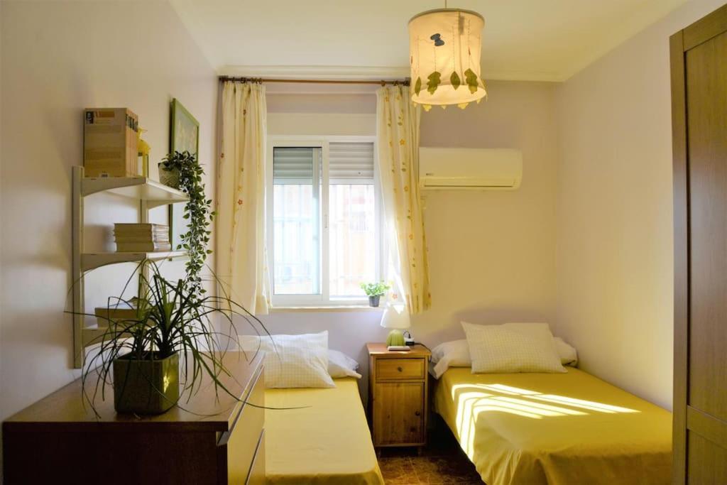 סביליה El Apartamento De Trini מראה חיצוני תמונה